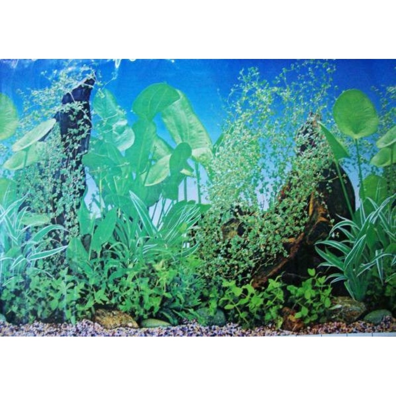 AQUARIUM  BACKGROUND|58.5CM   25M|58.5CM 25M thin