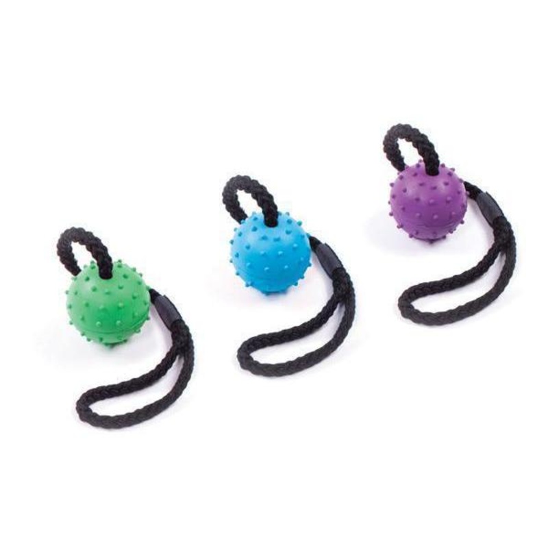 Kazoo Rubber Sling Ball Small Dog Toy ^._.^