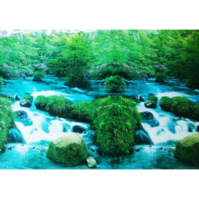 AQUARIUM  BACKGROUND