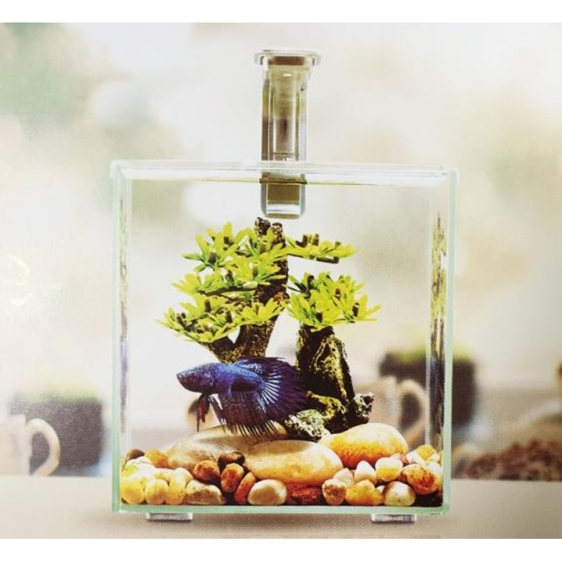 AQUACLEAR DESKTOP TANK