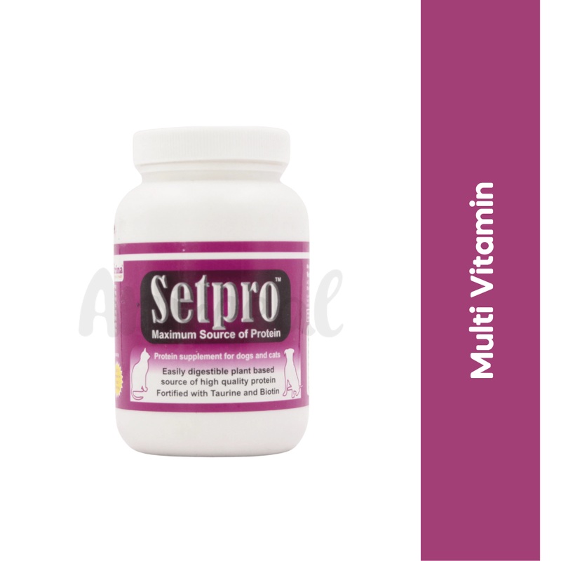 SET PRO POWDER