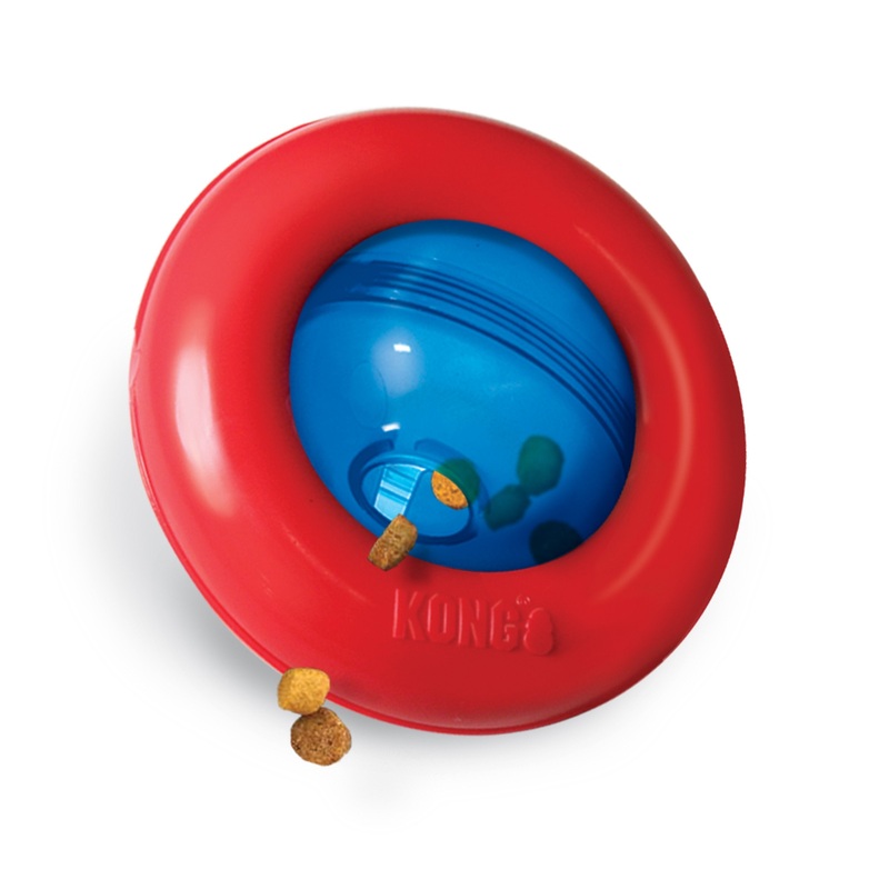 KONG Gyro Small Dog Toy