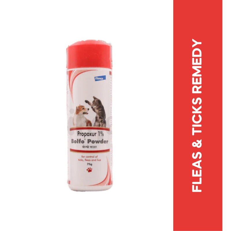 BOLFO POWDER