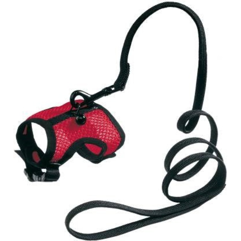 ANIMAL HARNESS JOGGING SMALL|SMALL