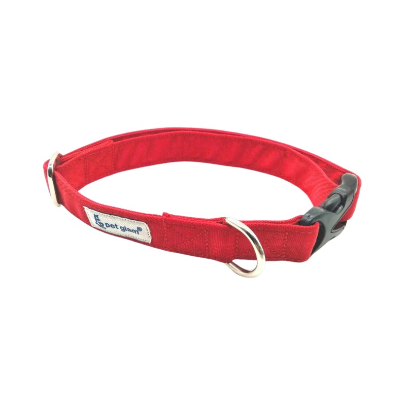 PG DOG COLLAR BRUCE M