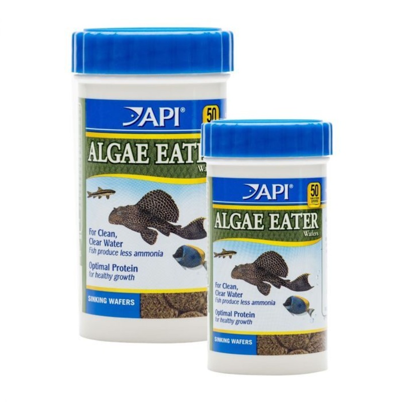 API Algae Eater Wafers