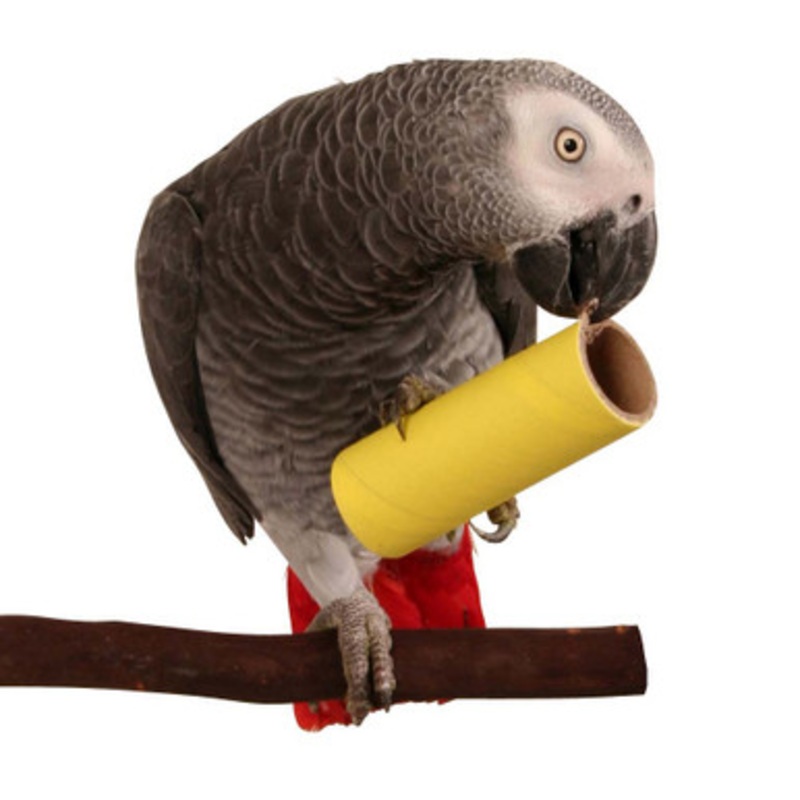Parrot Pipes Large Chewable Parrot Toy Pack of 10