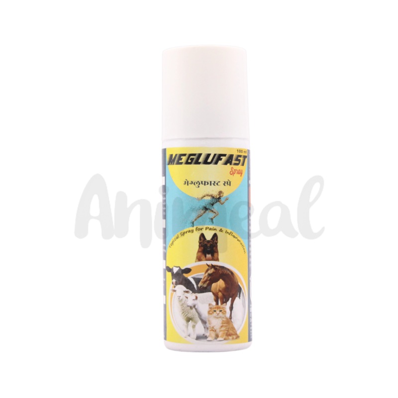 MEGLUFAST SPRAY