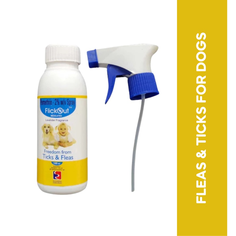 FLICKOUT SPRAY