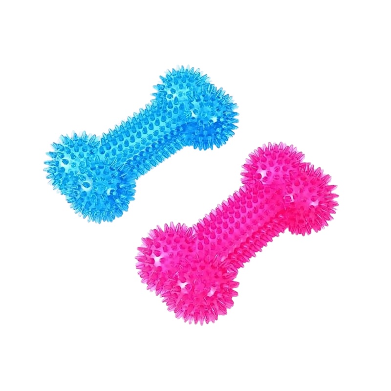 CANINE CREW SQUEAKY SPIKE BONE TOY