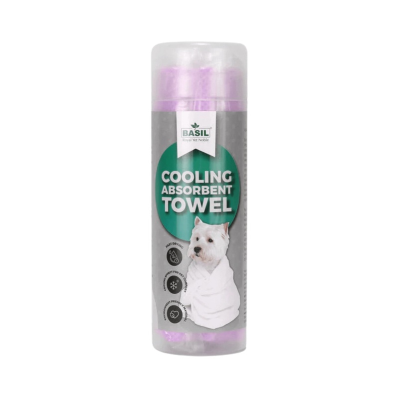 BS ABSORB TOWEL
