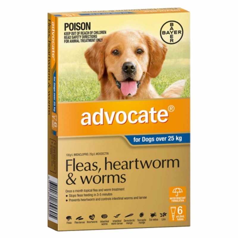 Advocate Dog 25kg+