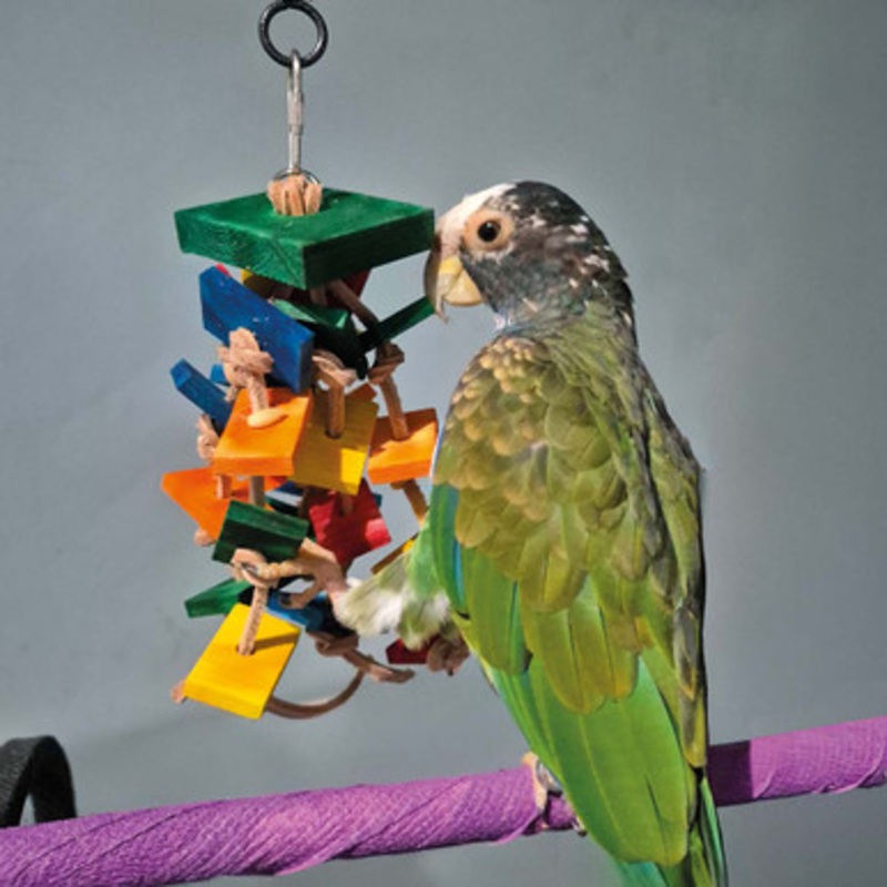 Slats and Knots Wood and Leather Parrot Toy