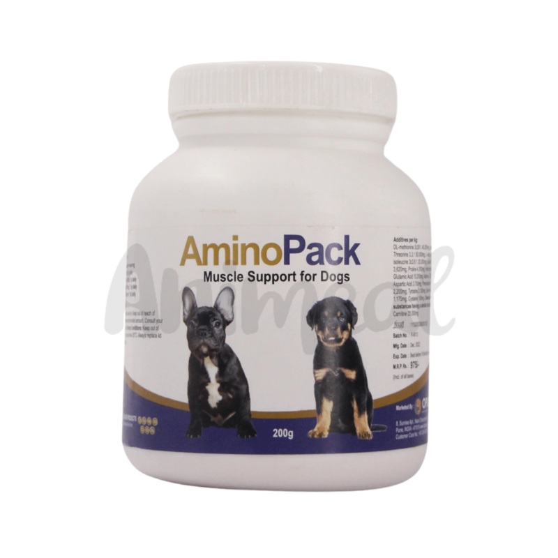 AMINOPACK  POWDER